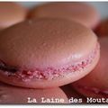 Macarons, première !