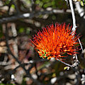 P1130345