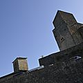 _DSC0005