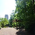 AHC (54).JPG