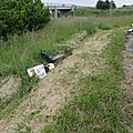 SAM_0377_small