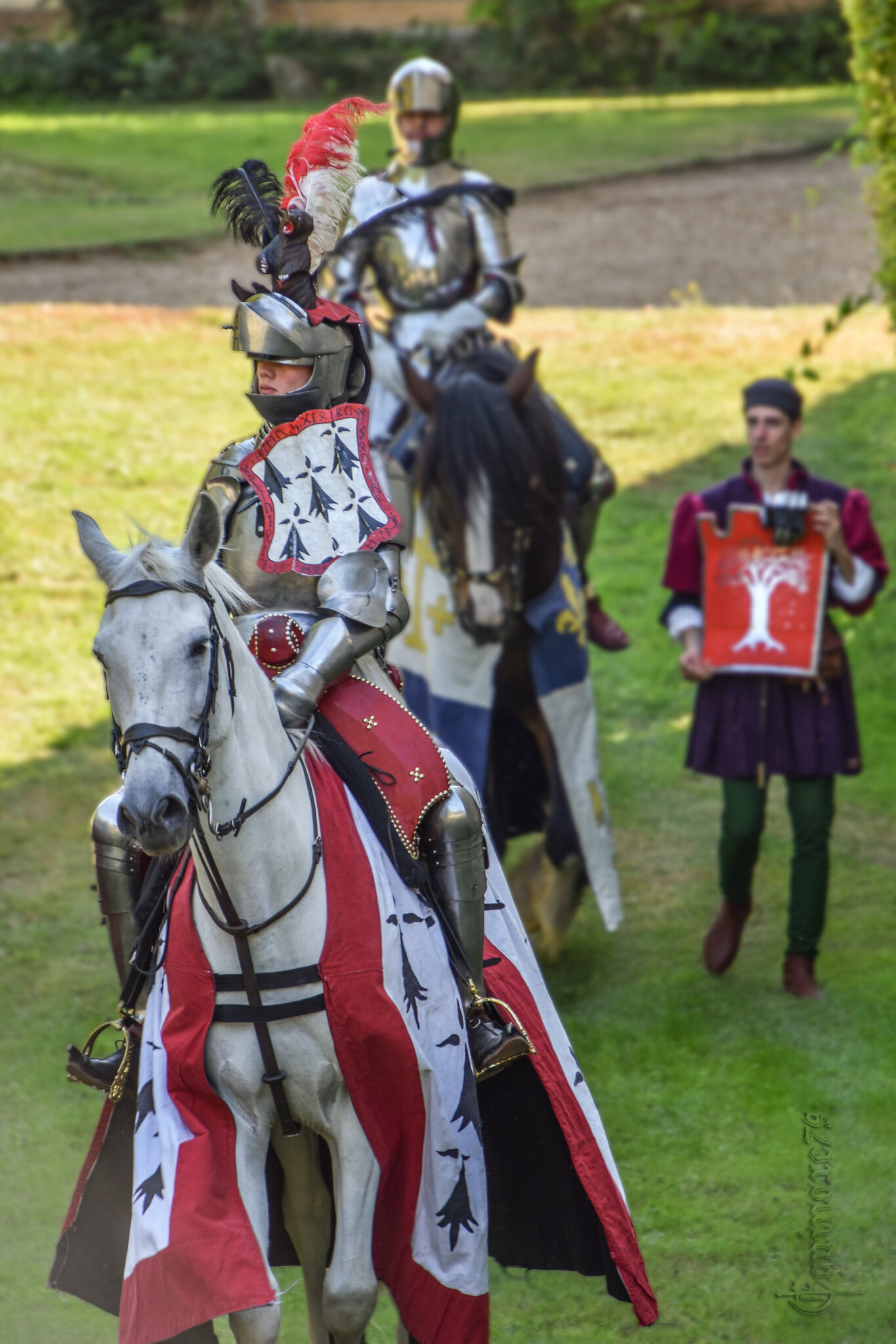 Armure médiévale de chevalier de l'Ouest « Garde du Roi »