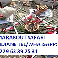 Les grands bains vodoun sorcier du grand maitre marabout gandaho safari tidiane tel/whatsapp: +229-63-39-25-31