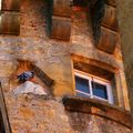 _IGP4696-2