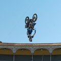 Classification du RedBull Xfighters