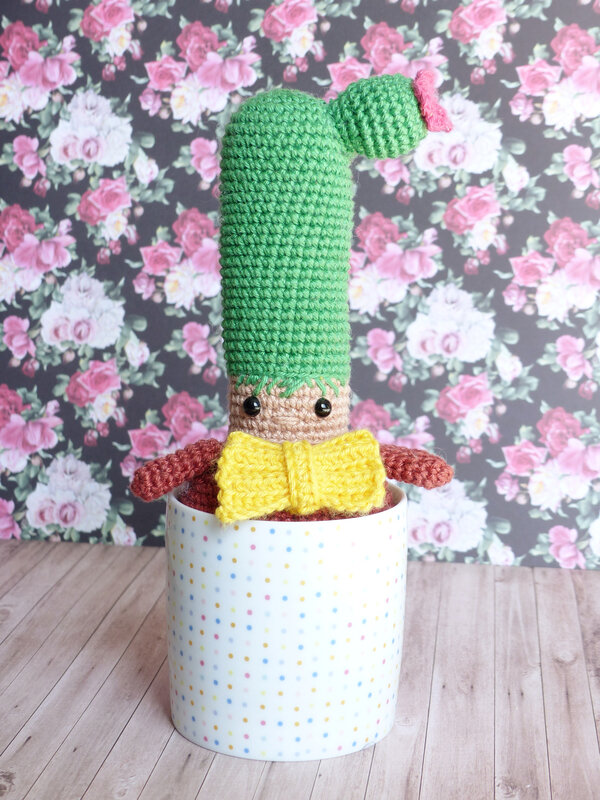 cactus-crochet-livre-caro-tricote-my-sweet-home-editions-eyrolles-02