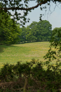 DSC_0005paysage