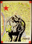 20130107RhinoMapPixPedro004