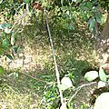 P1010033