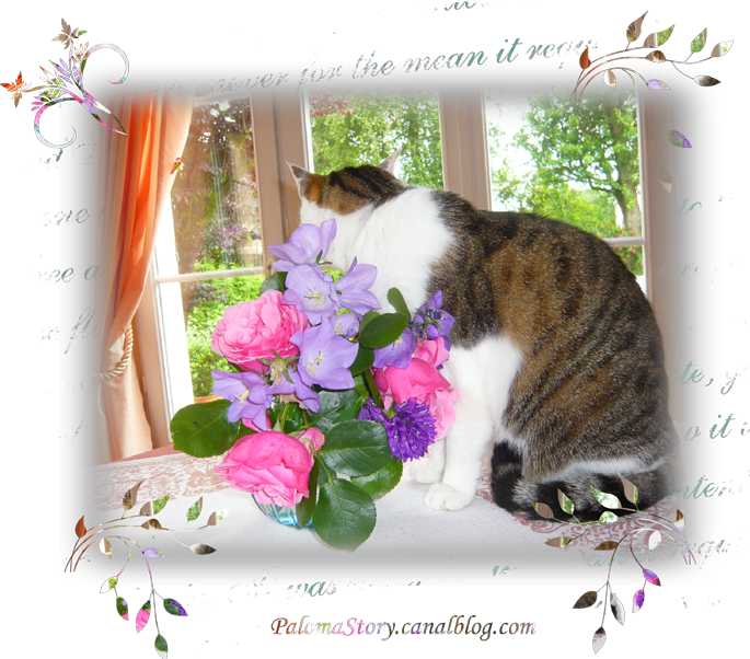 Une Fleur Parmi Les Fleurs Palomastory Le Blog Du Chat Qui Parle Avec Moi Une Fleur Parmi Les Fleurs Palomastory Le Blog Du Chat Qui Parle Avec Moi