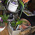 _DSC0013
