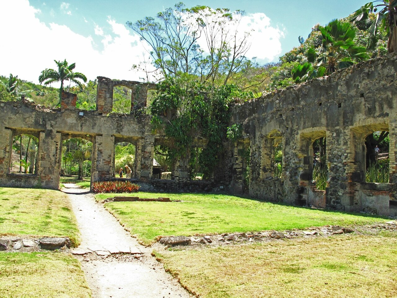 Martinique le jardin de  l habitation  Latouche Photo  