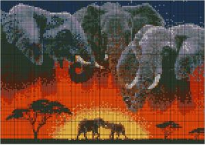 africa