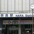 Nara, c'est daimgue!