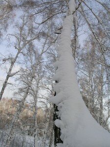 RU