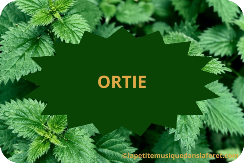 01 ORTIE-modified