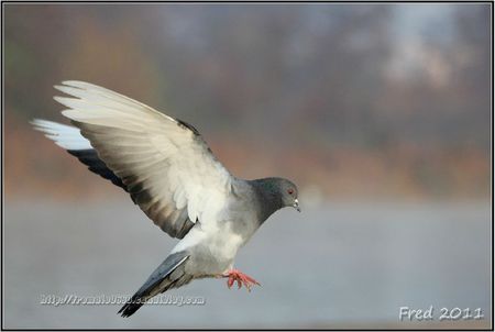 IMG_4544-signée