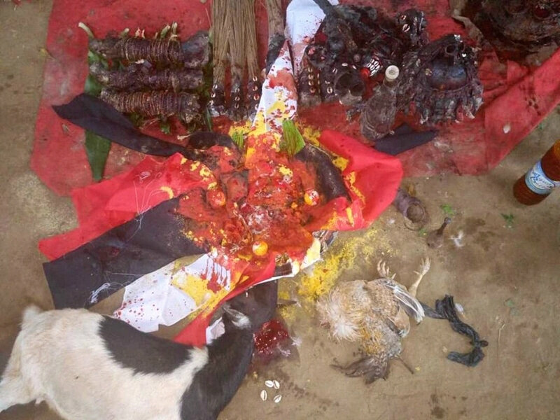 Devenir riche avec la magie 361 du GRAND MARABOUT GAMBADA DJOGBE