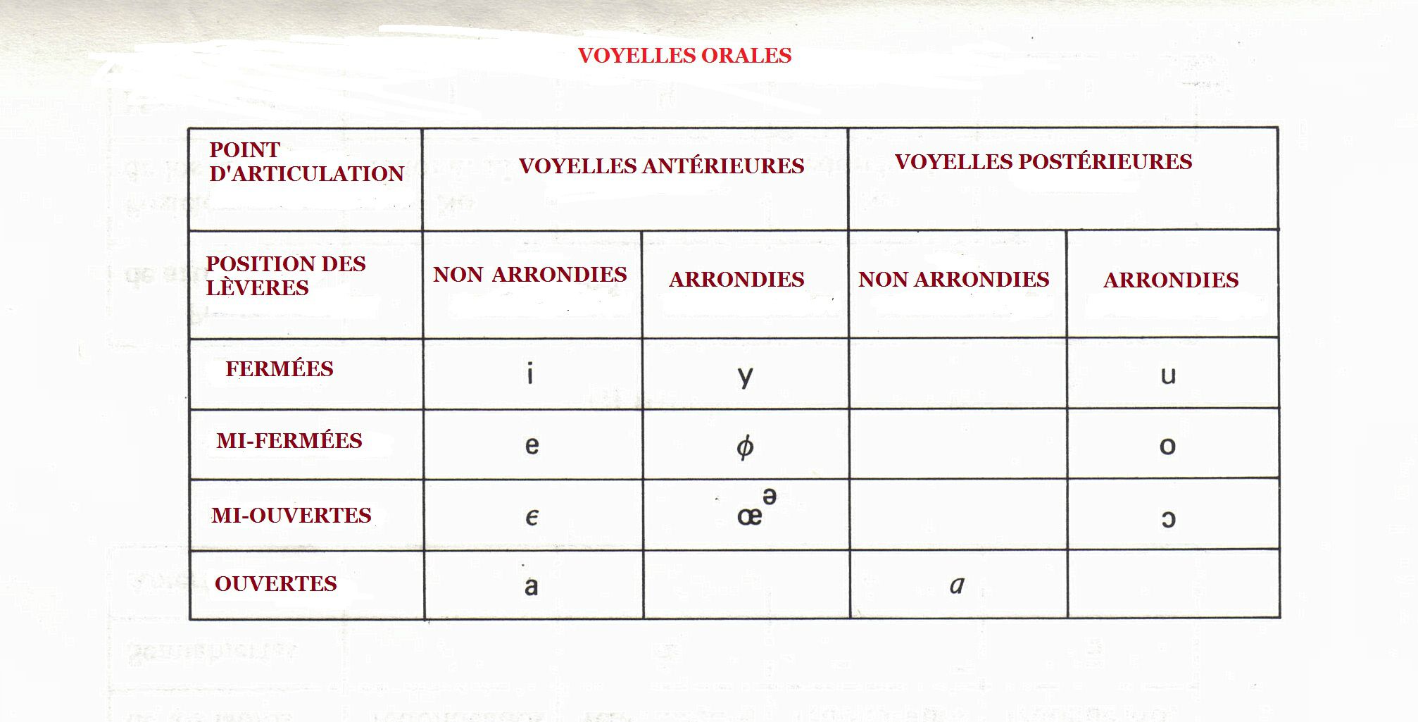 Voyelles Orales Oro Nasales Et Glides Tableaux Darticulation Compréhension Orale Et