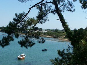 Larmor Baden