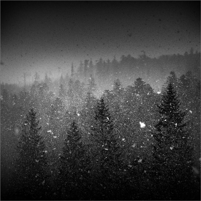 white_storm