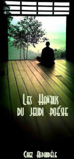 sans-titre
