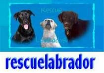 res