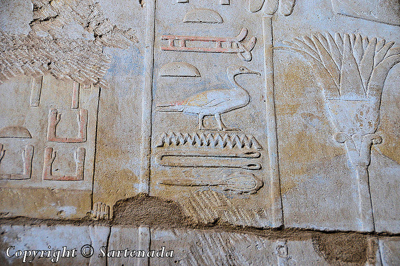 Temple_de_Karnak_ (47)