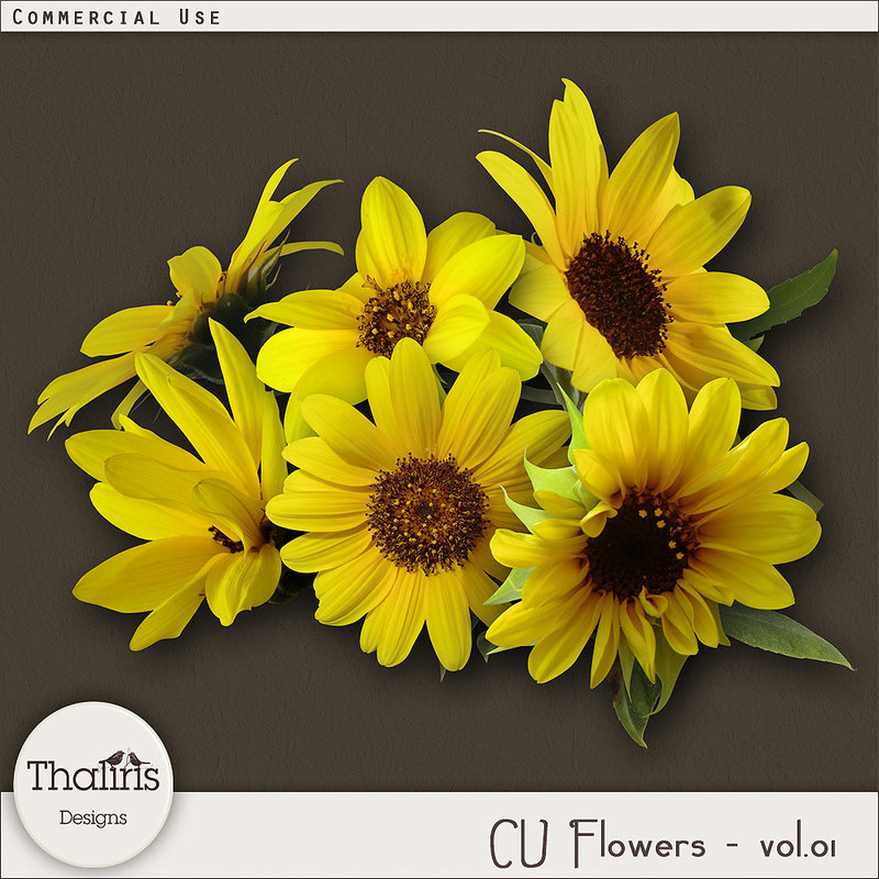 THLD-CU-flowers-vol1-pv1000