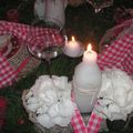 Table pique-nique sur l'herbe