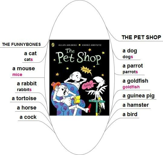 The Pet Shop