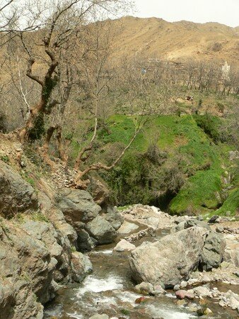 maroc__55_