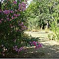 Jardin du sud