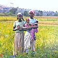 Burundi 1996, région orientale du Mosso