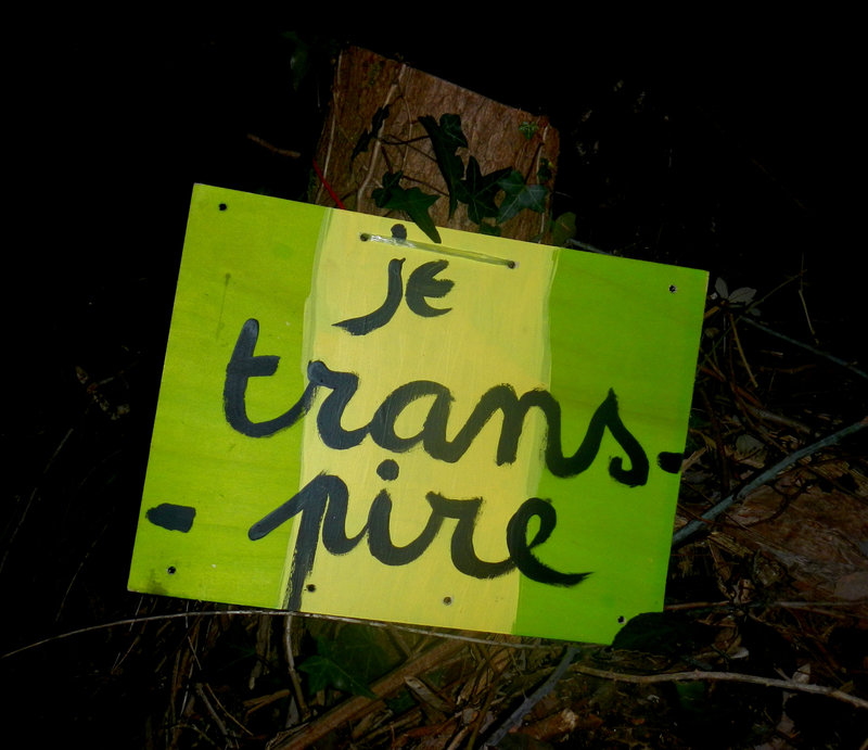 l'arbre transpire