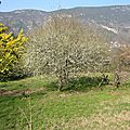 2015/04 piste des rochettes berre les alpes