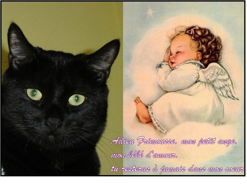 Adieu Frimousse Le Quilling De Mamouzette