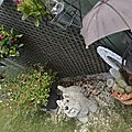 _DSC0044
