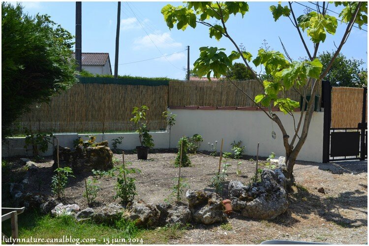 jardin juin 1