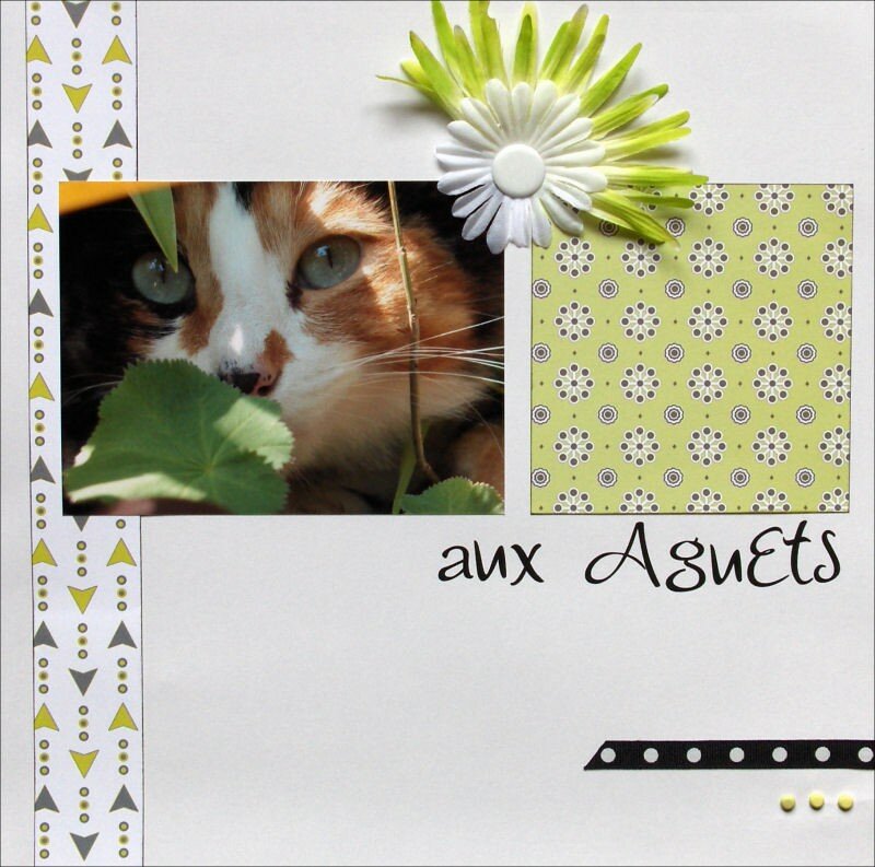 Aux aguets Le blog de Cath