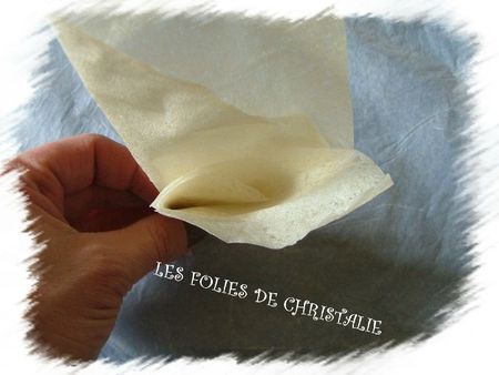 Pliage feuille de brick 6