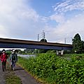 _IGP4371