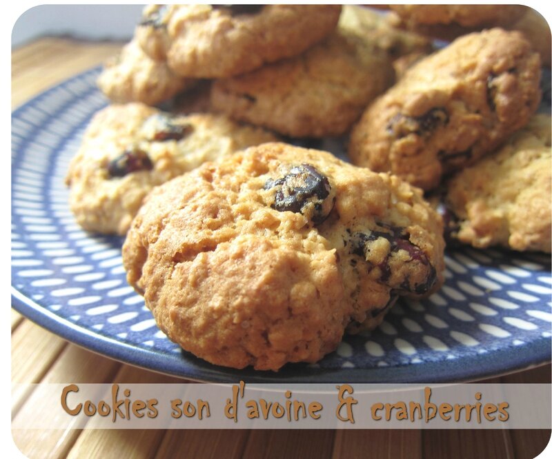 cookies son cranberries (scrap2)