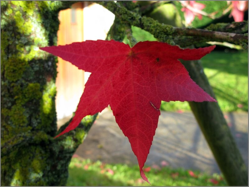 Automne 07
