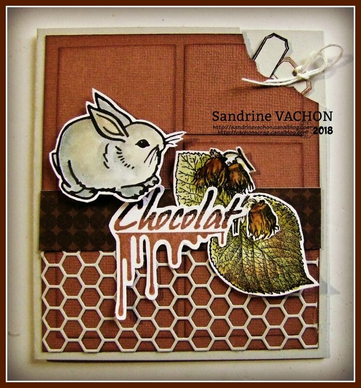 Chocolat DEFI 526 Sandrine VACHON (1)