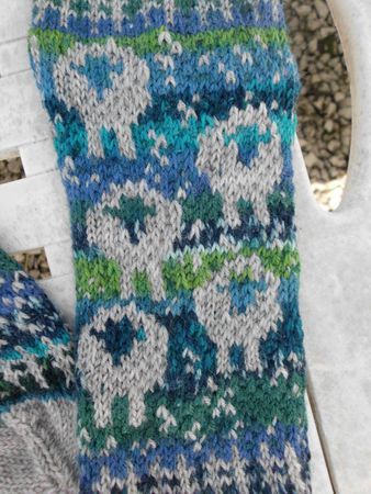 DSCI0862