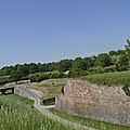 _DSC0052