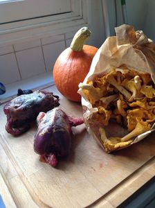 photo-12