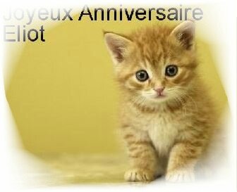 Joyeux Anniversaire Eliot Animhote Animhoteparis