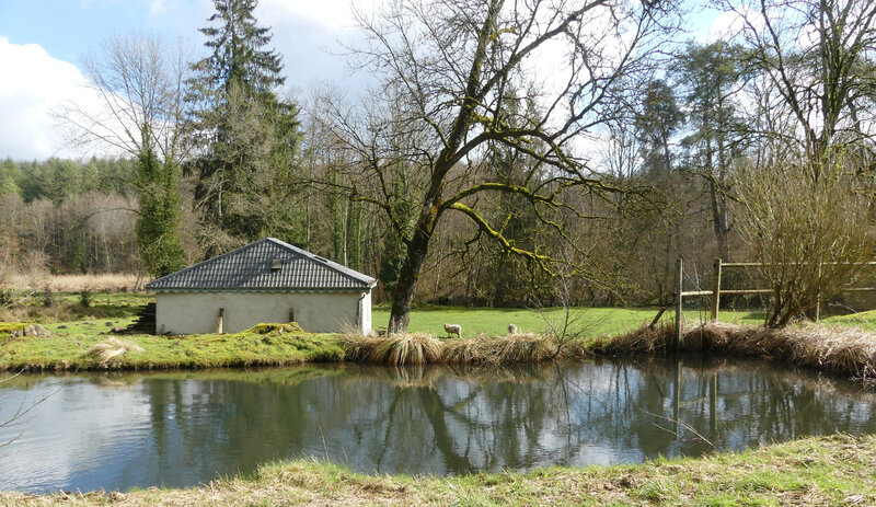 P1000234